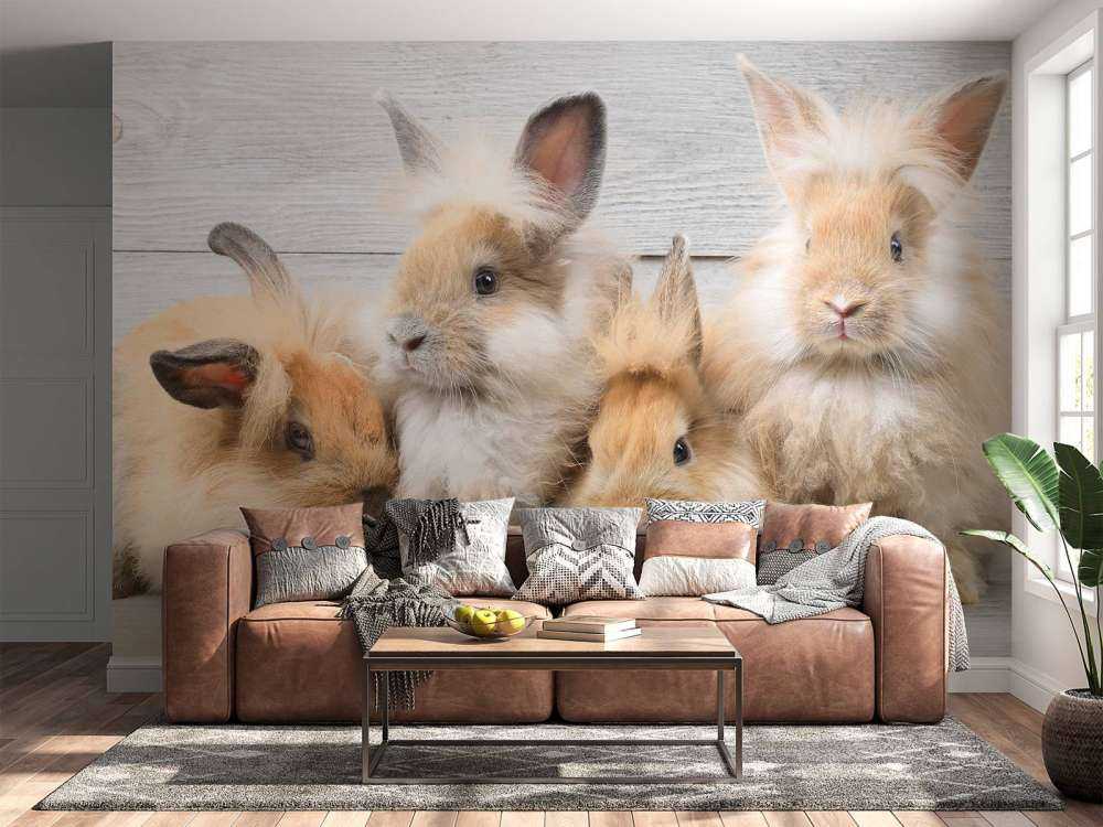 Small bunnies