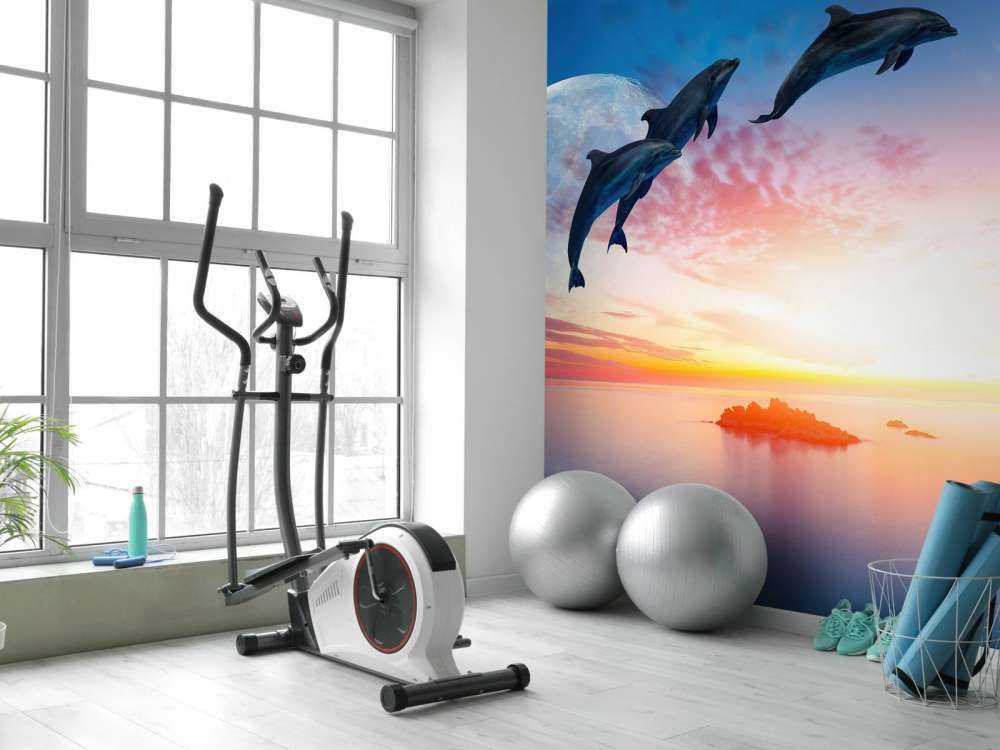 Dolphins in the night