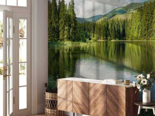 Lake in the forest
