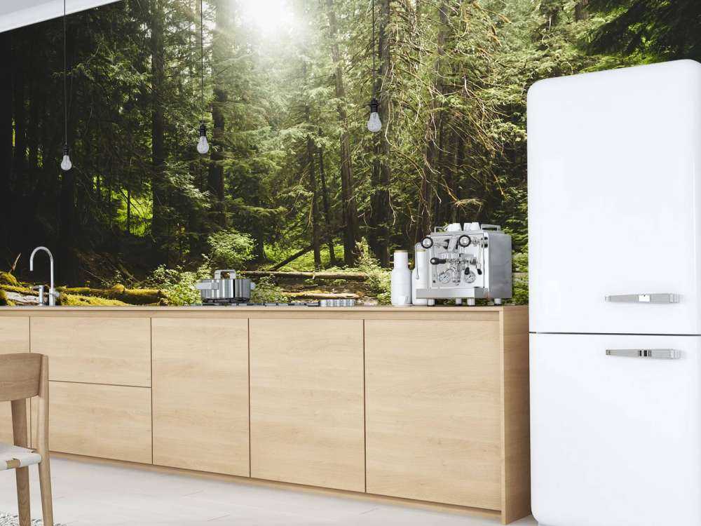 Waterfall in a forest 