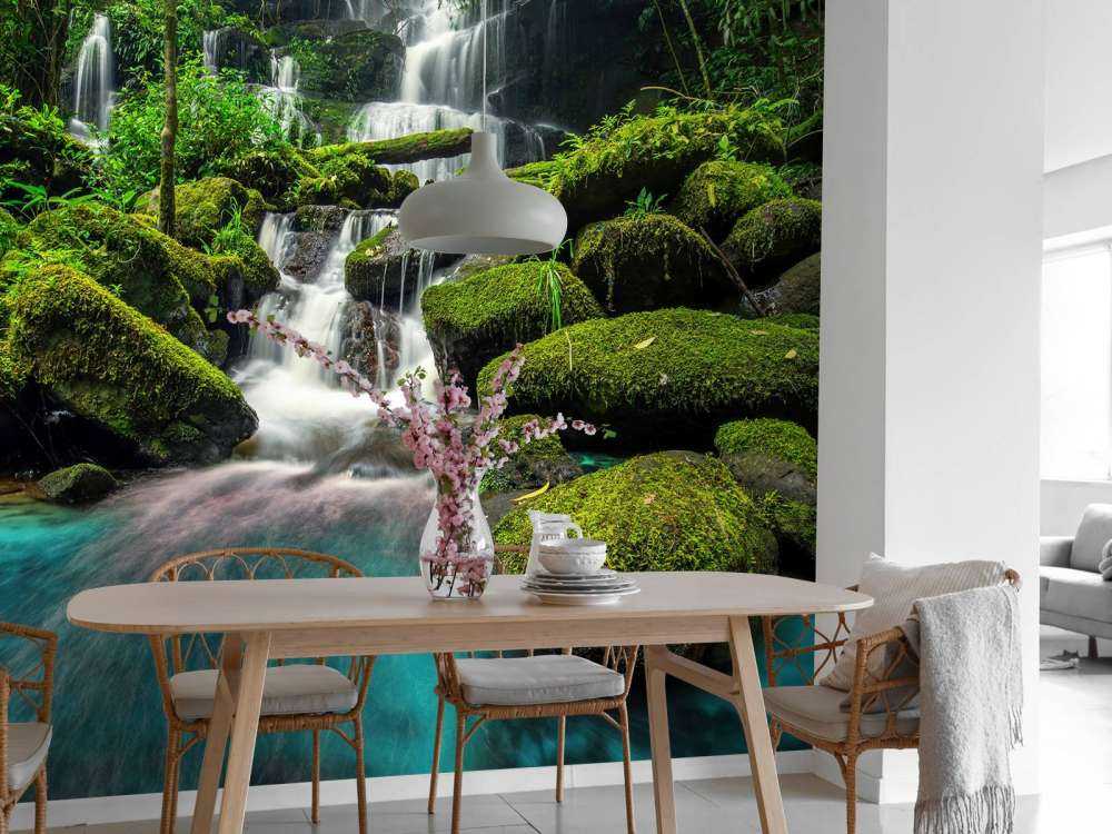 Waterfall in a jungle