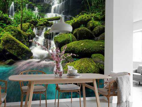 Waterfall in a jungle