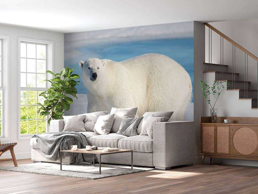 Polar bear