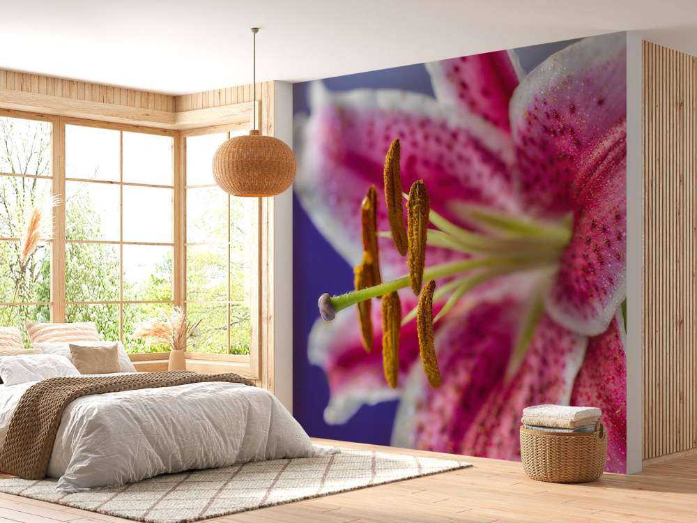 Close-up pink flower