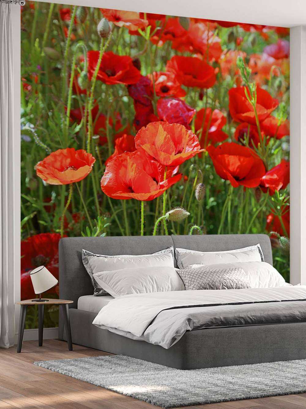 Close-up of poppies