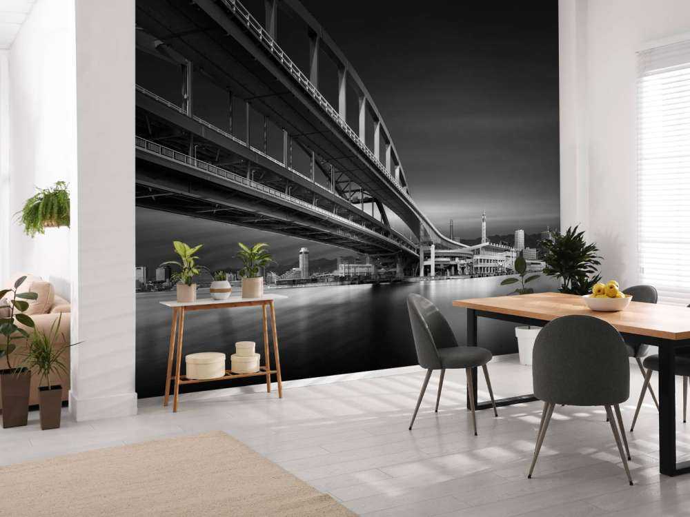 The Land of Coonectons 1: Over the Rainbow