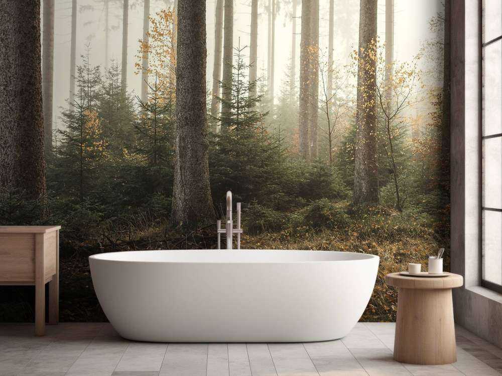 The Kaufunger forest