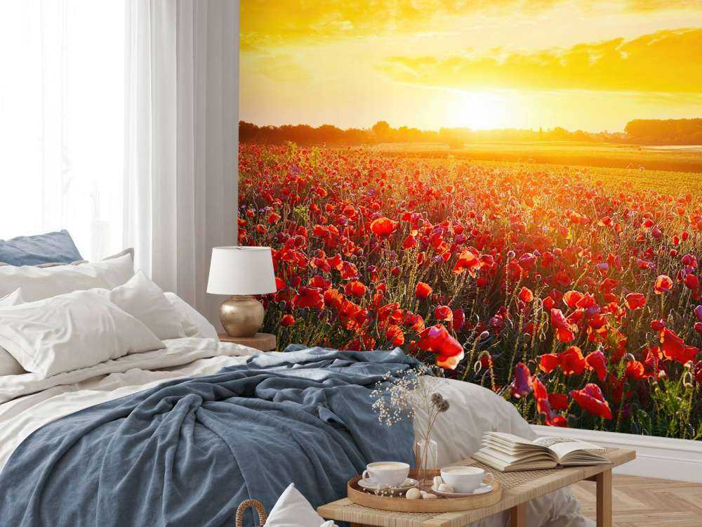 Poppies and Sunset