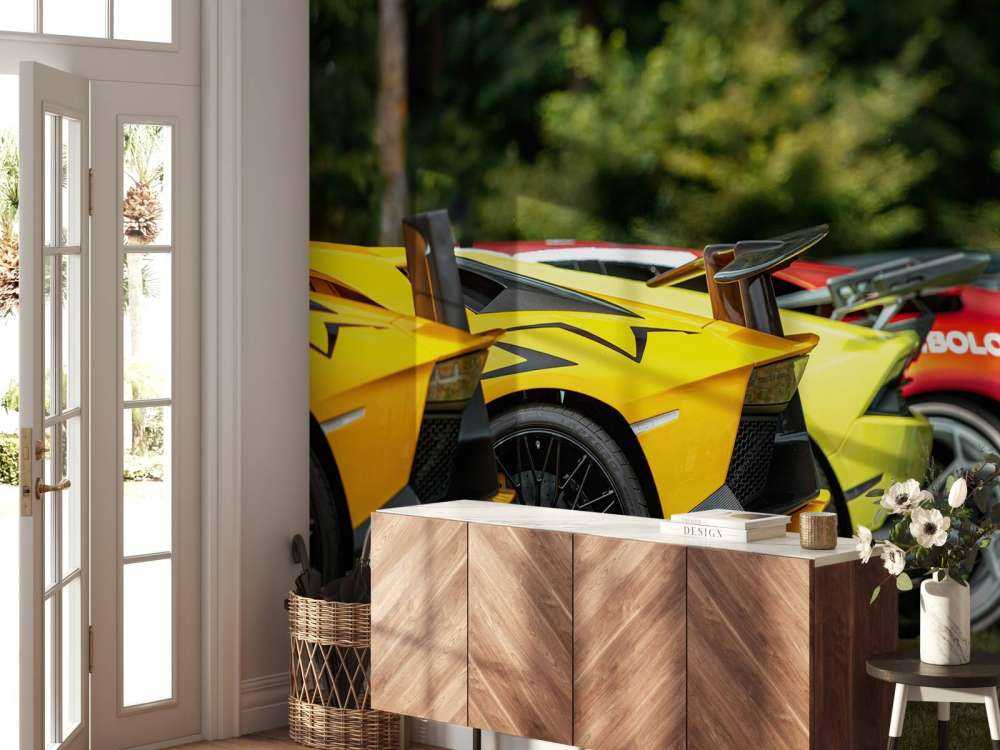 Supercar collection in nature