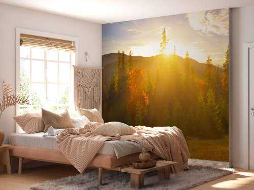 Pine forest panorama