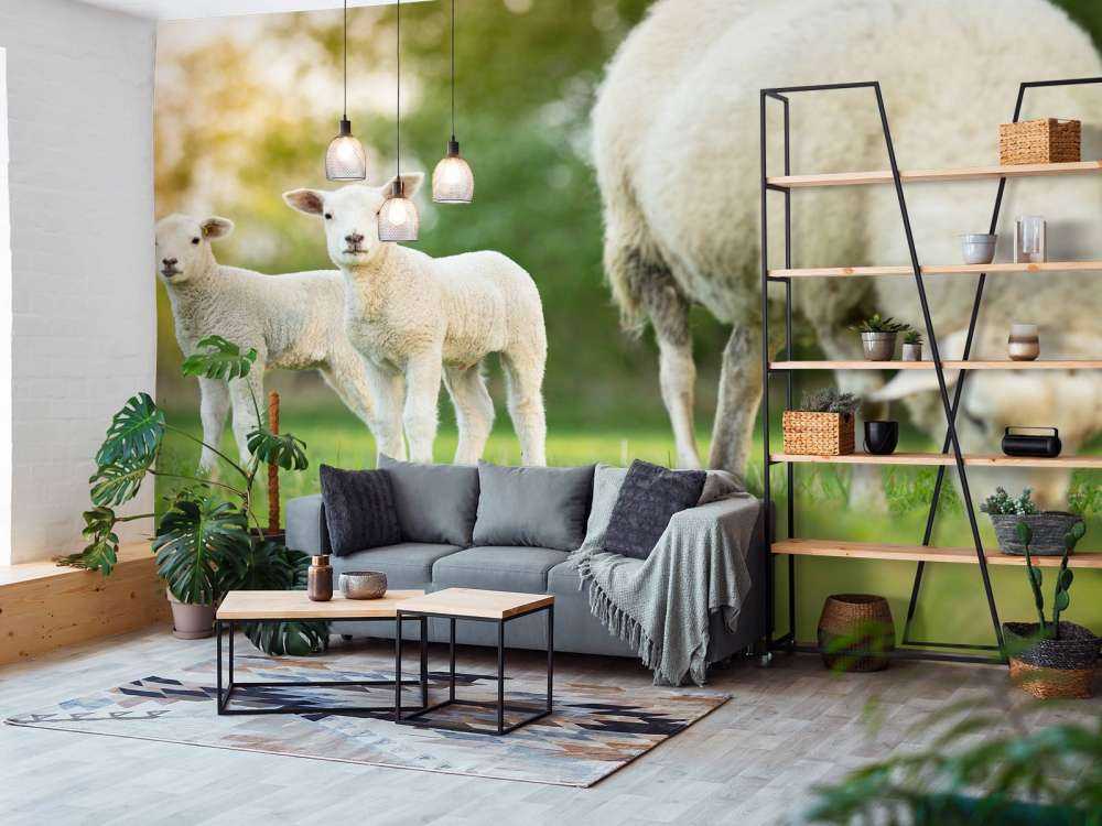 Mother sheep with lambs