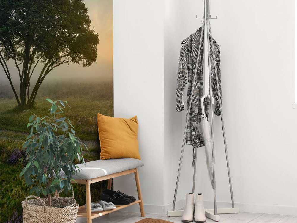 Sunrise on the heath