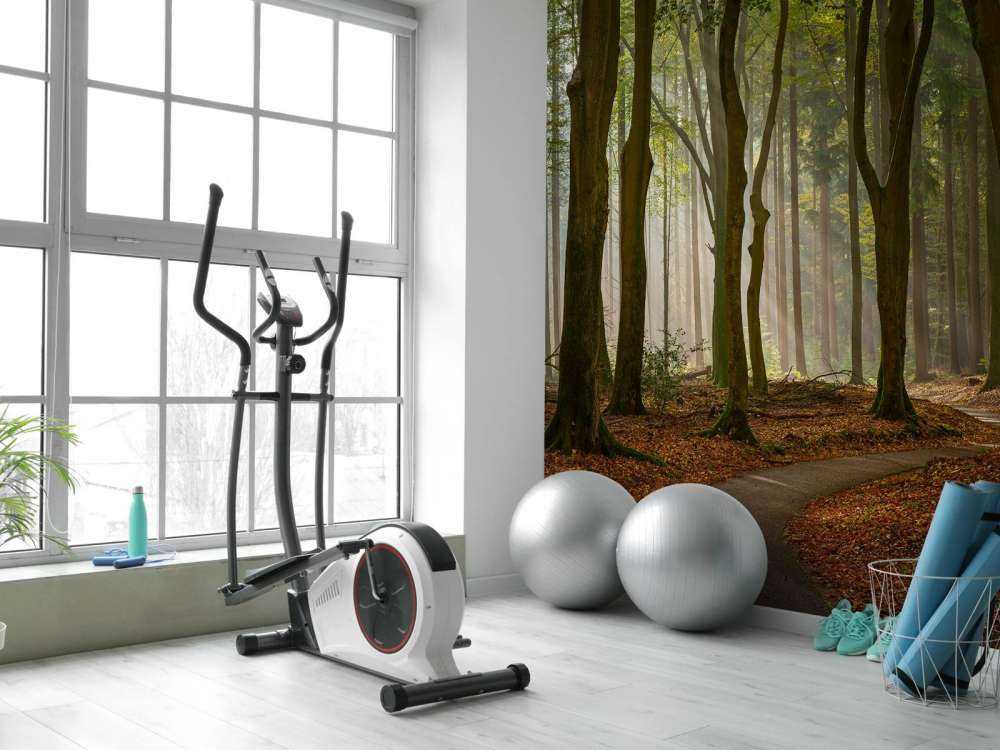 Sun rays at path through the forest