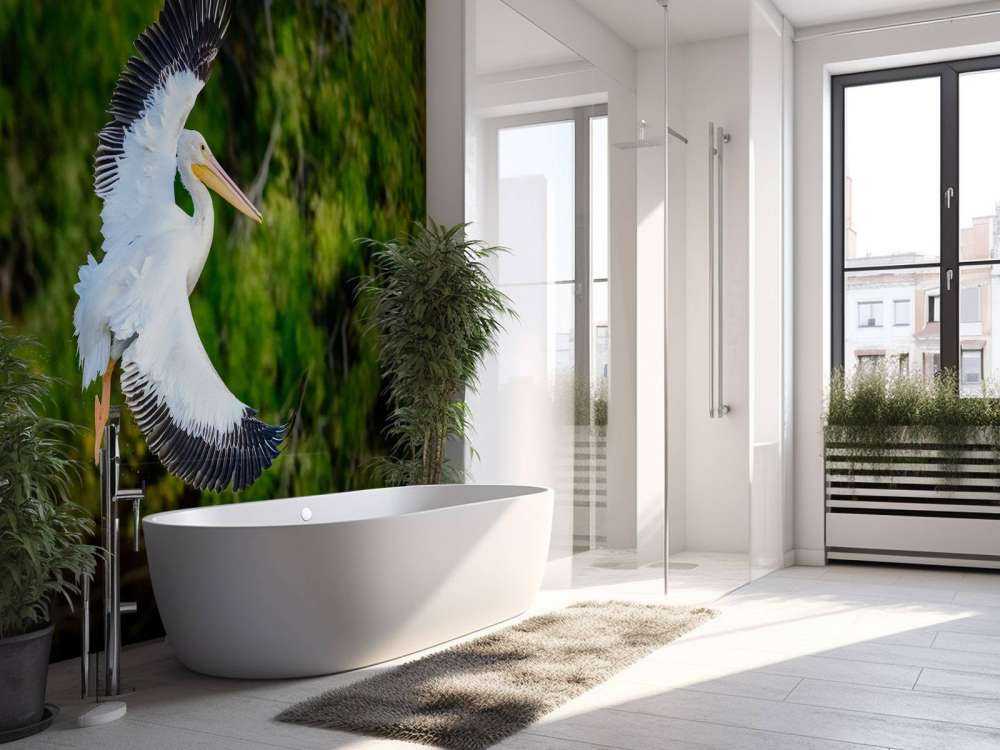 White pelican