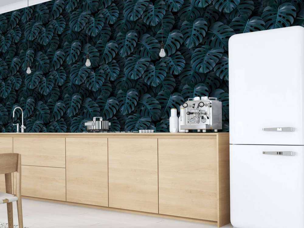 Tropical green Monstera leaves