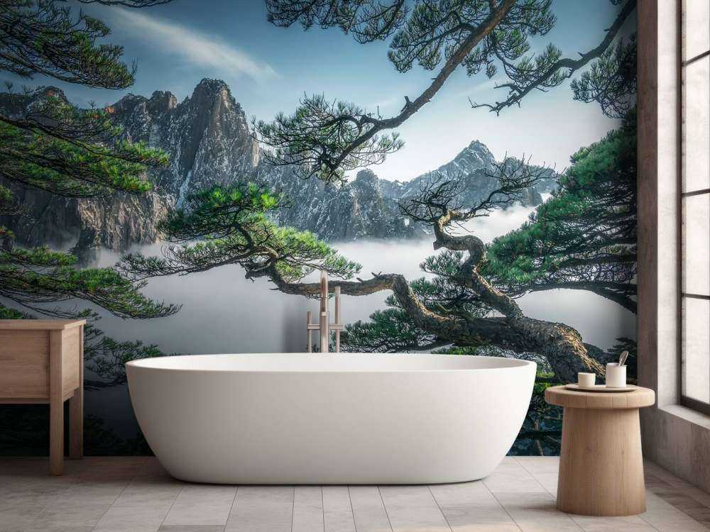 Strange pine tree in Yellow mountain