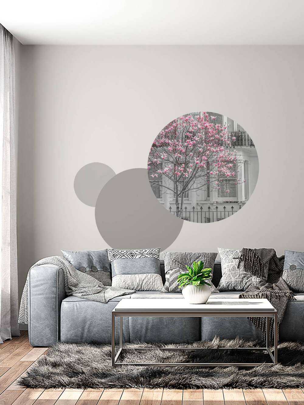 Flowering magnolia tree