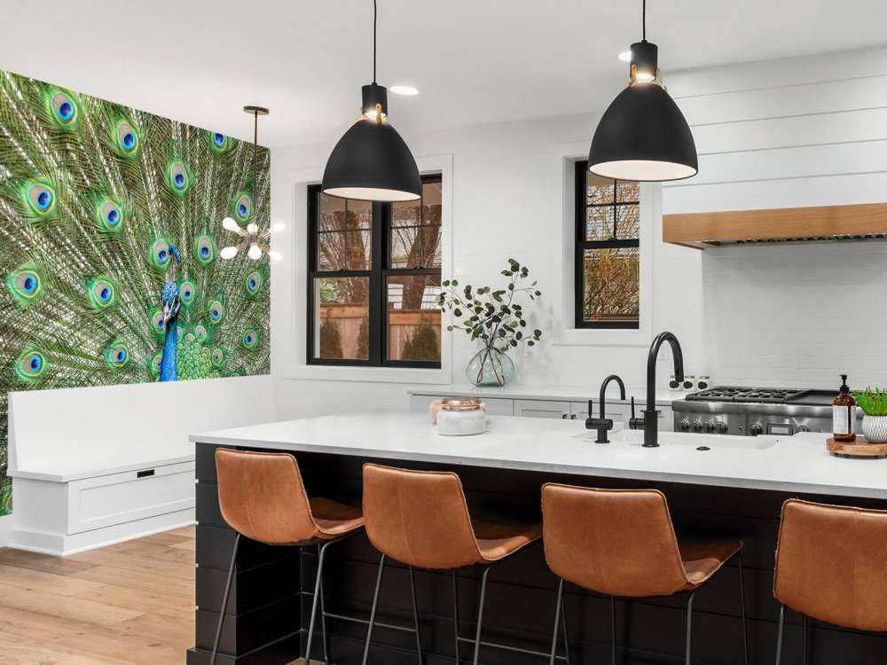 Peacock with dilated feathers