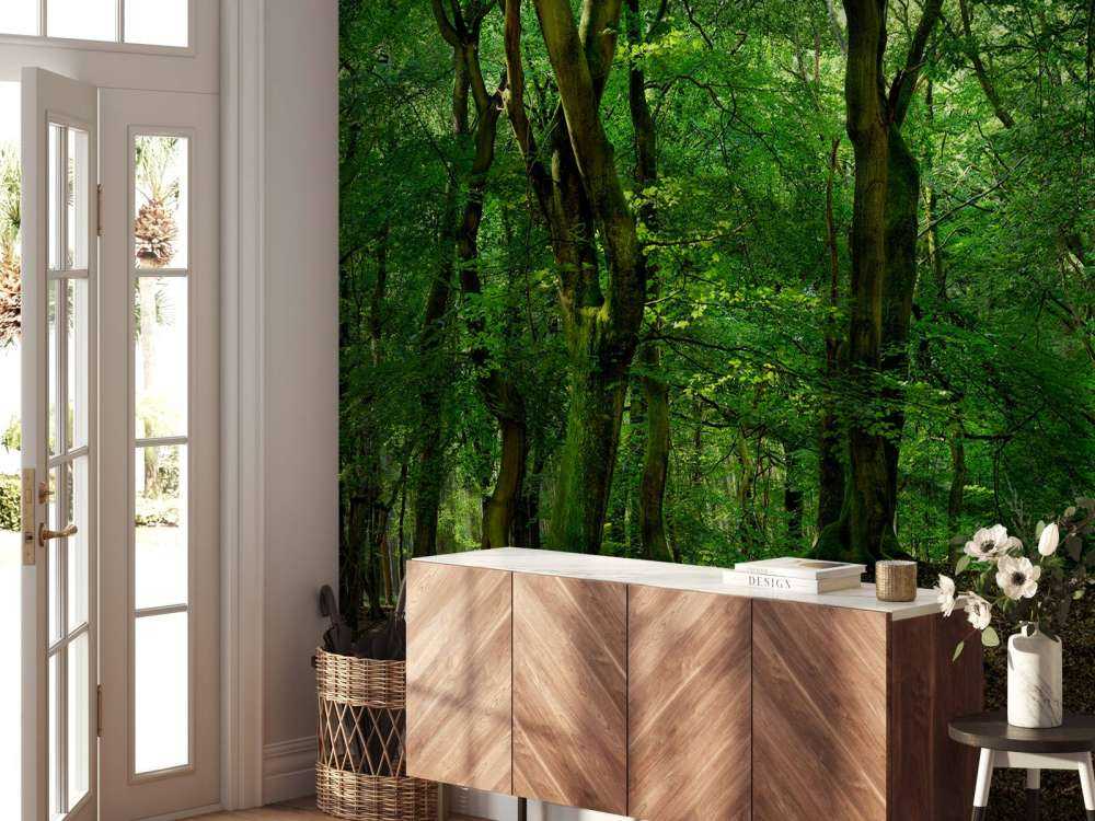 Trees with green leaves 