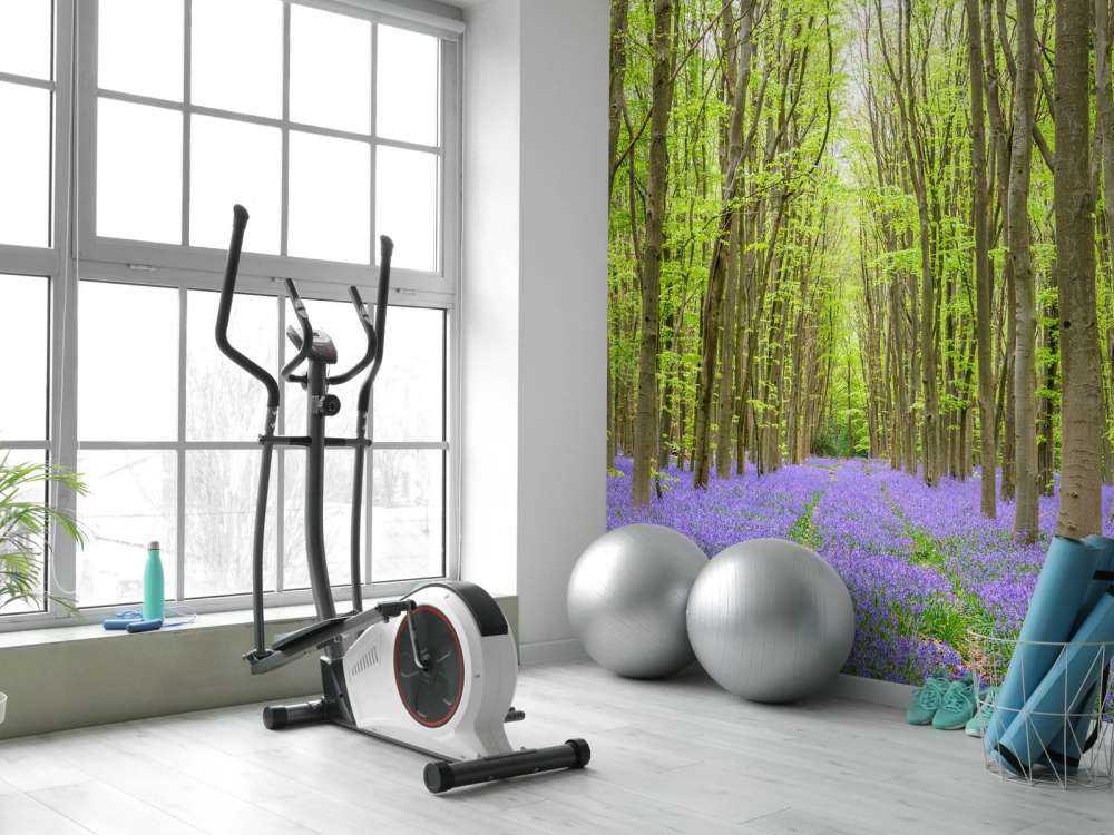 Tire tracks through the forest