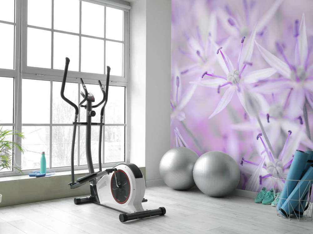 Close-up allium flowers