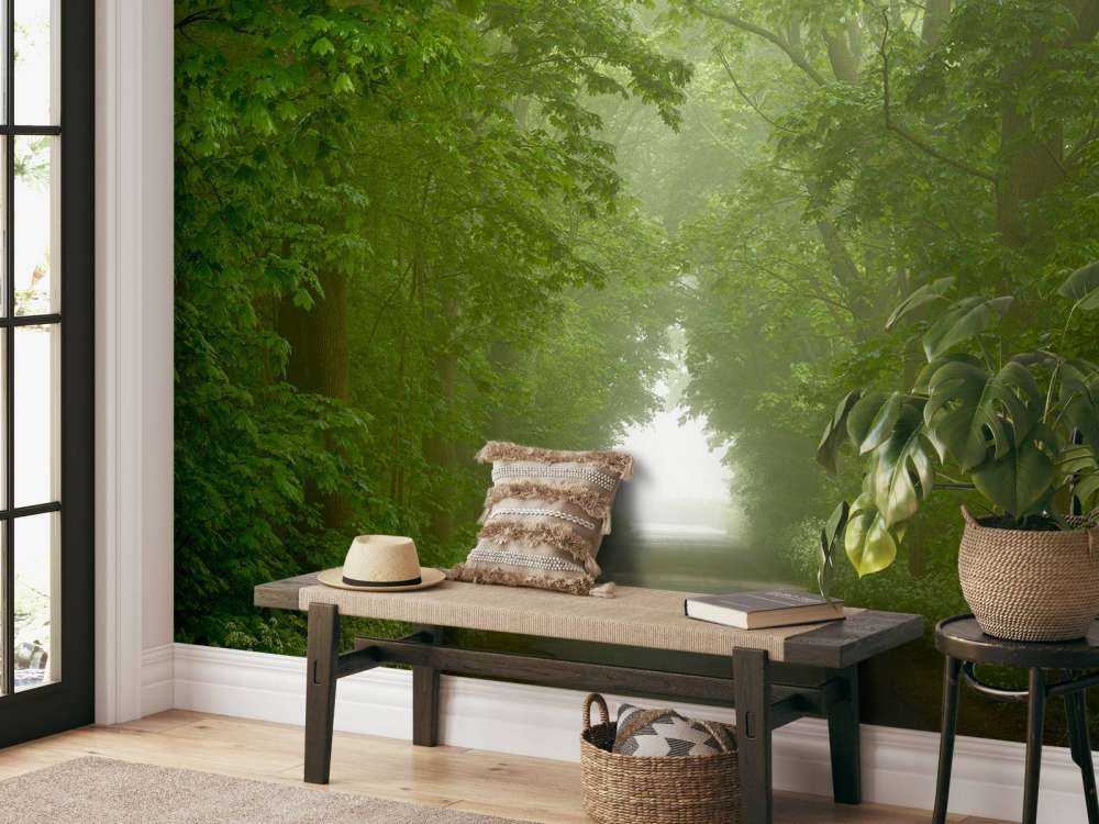 Green forest with misty path