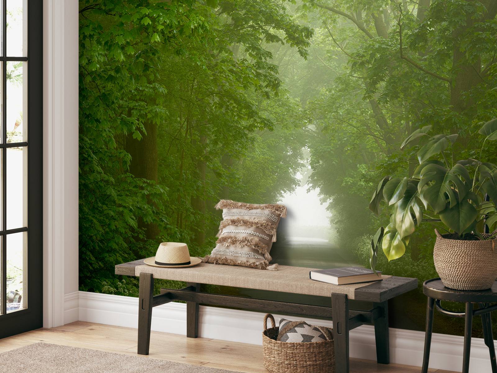 Green forest with misty path