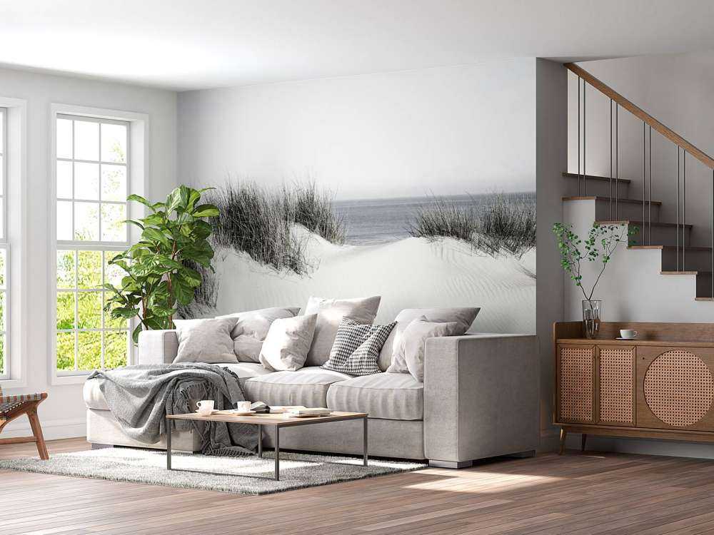 Dune passage to the beach black and white