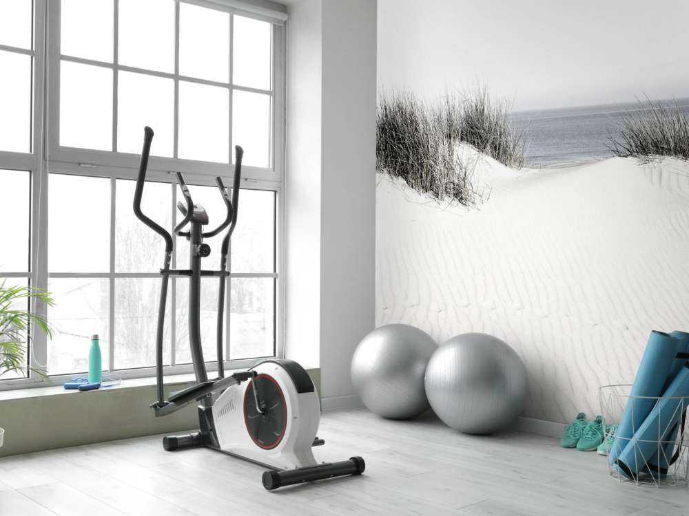 Dune passage to the beach black and white