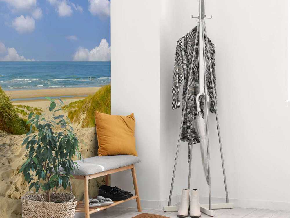 Beach access through the dunes