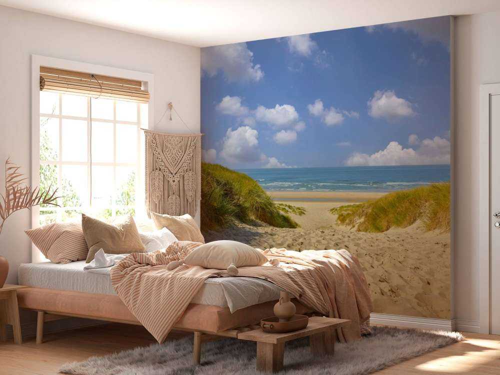 Beach access through the dunes