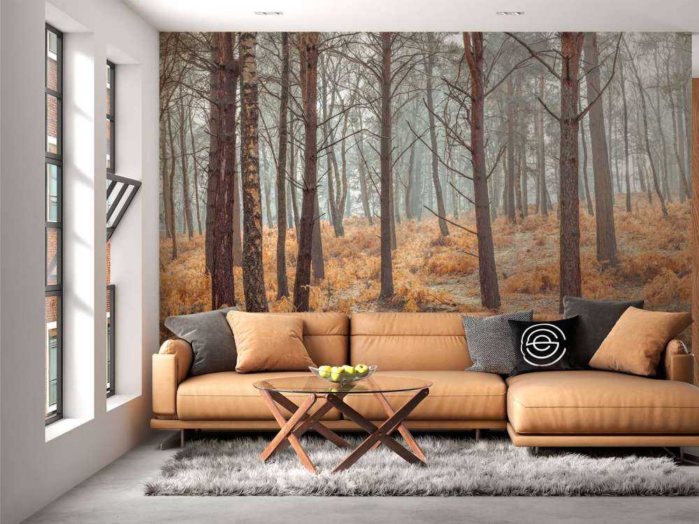 Forest during autumn