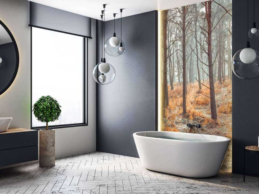 Forest during autumn