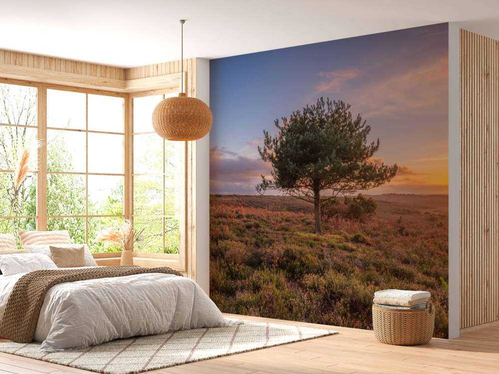 Sunset at a deserted area