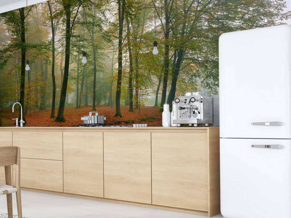 Reflection of trees in pond