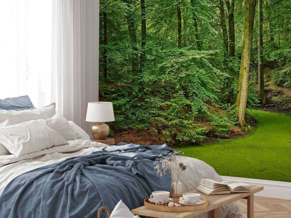 Stream with duckweed in the woods