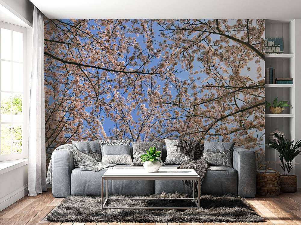 Flowering branches in bloom