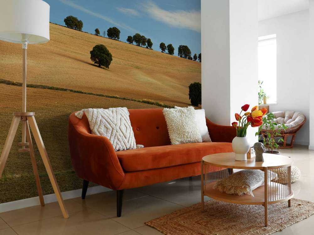 Trees in Spanish landscape