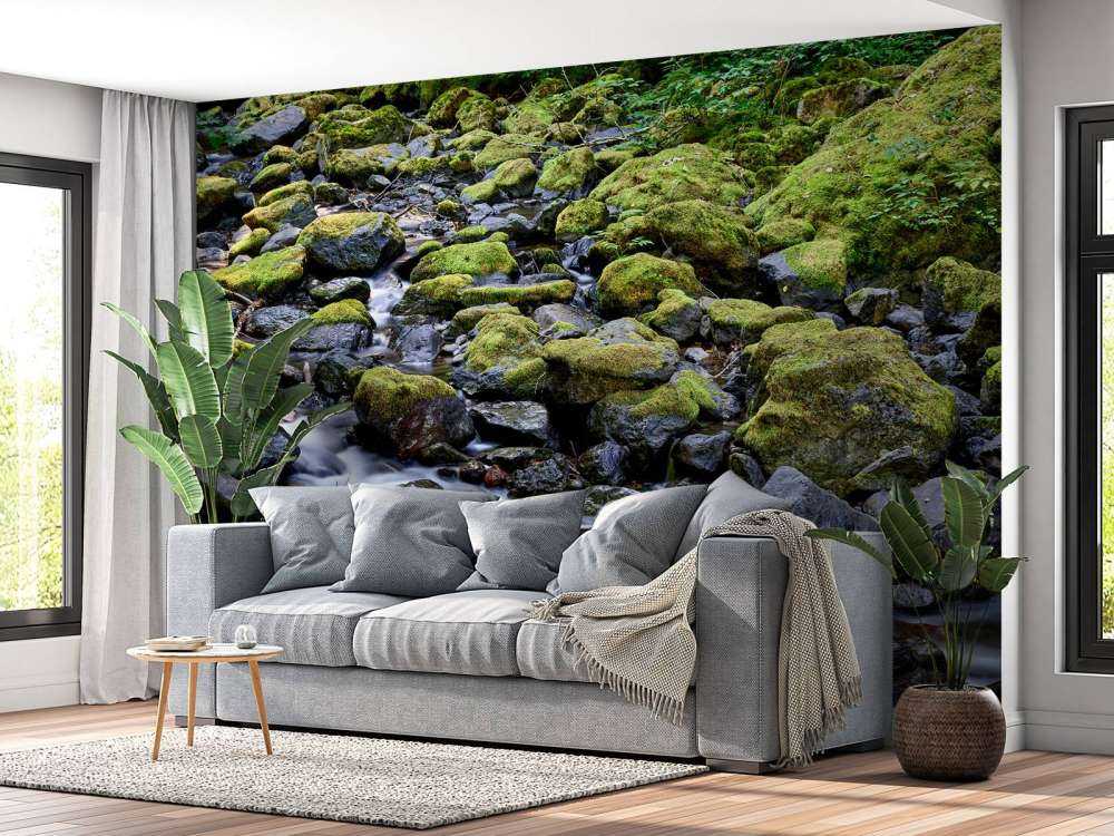 Running water with boulders