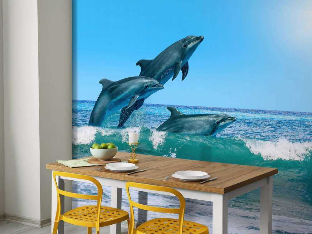 Dolphins at the coast