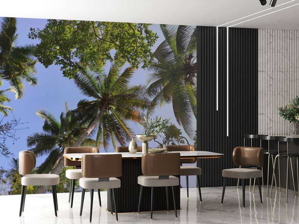 Palm trees from below