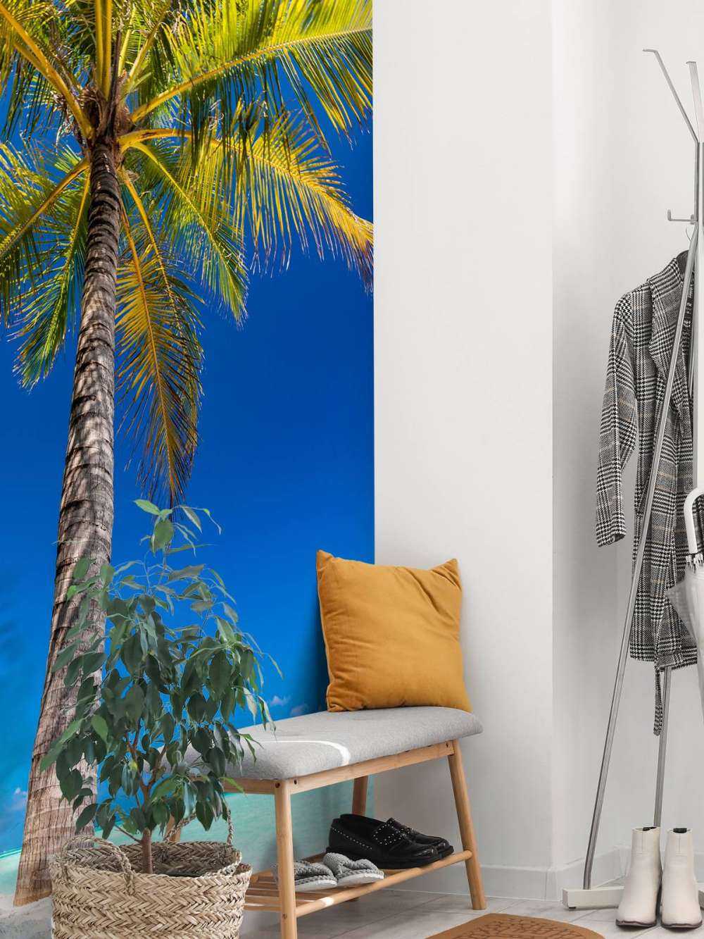 Palm tree in the maldives