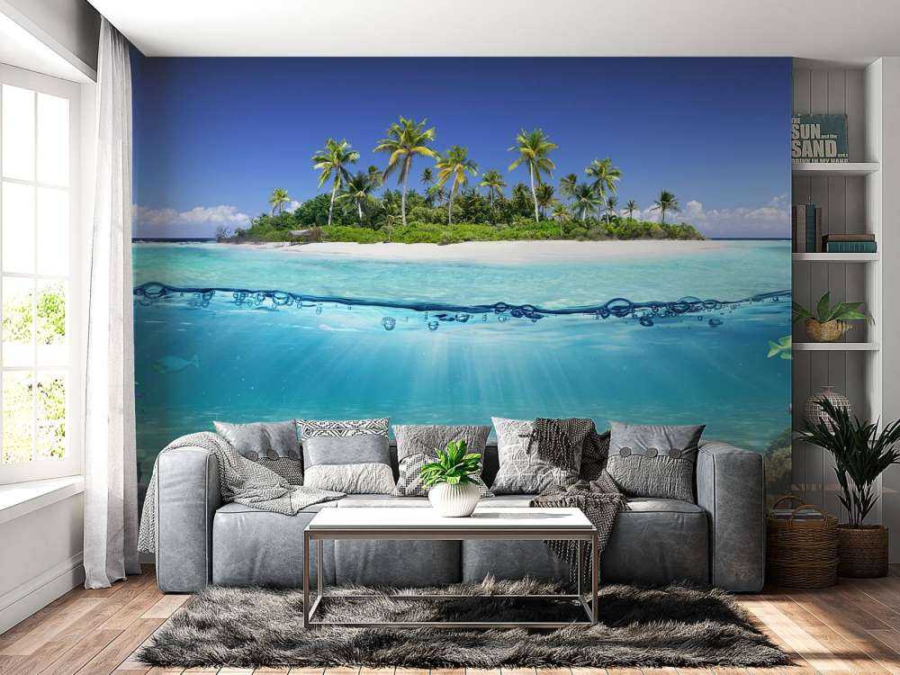Tropical island and coral reef