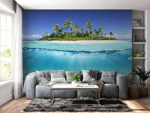 Tropical island and coral reef