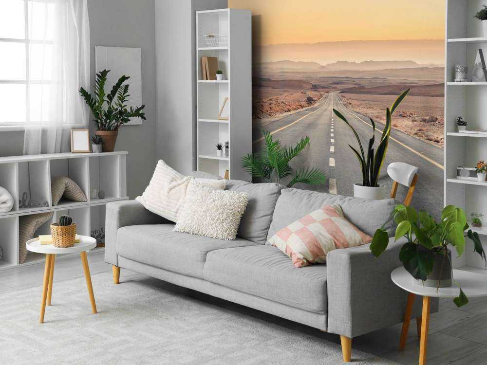 Desert road