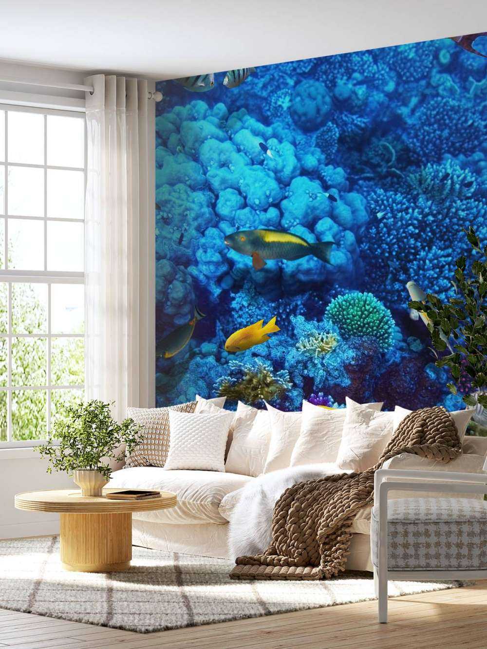 Fish and coral