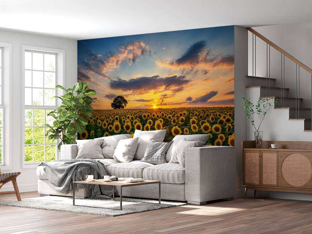 Field full of sunflowers