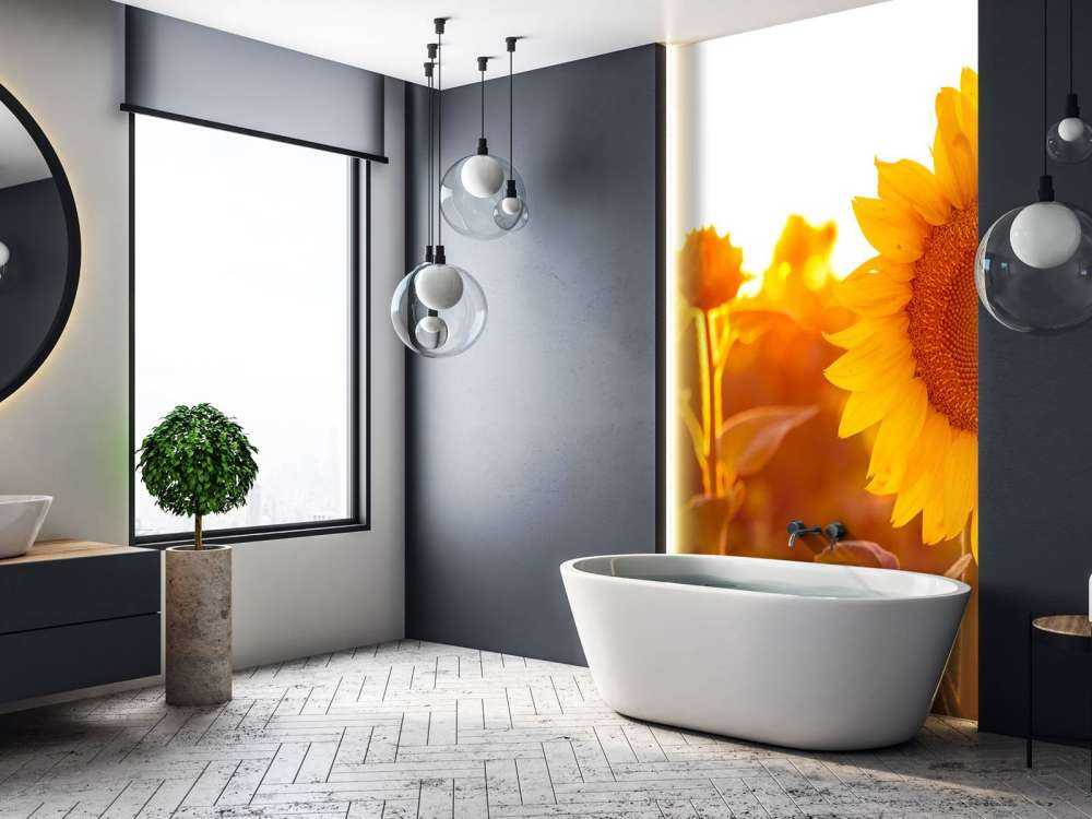 Warm sunflower field