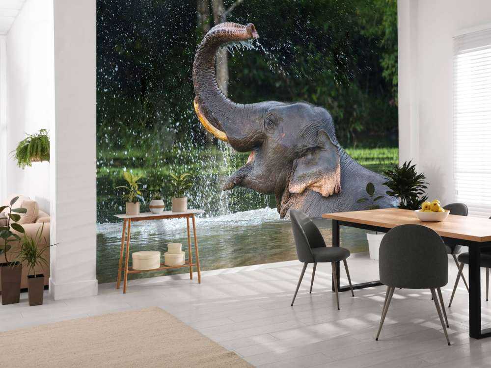 Elephant in water