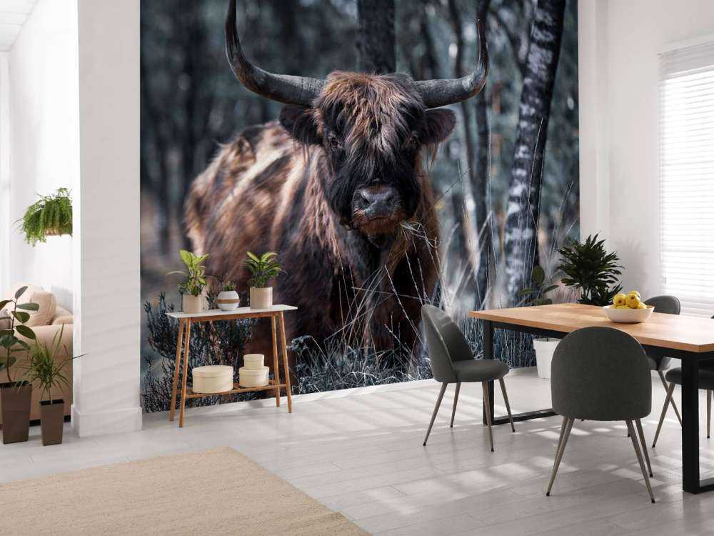 Scottish Highlander